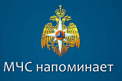 Сотрудник Главного управления МЧС России по г. Москве стал победителем «Диктанта Победы»-2026