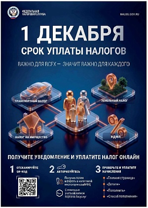 Федеральная налоговая служба напоминает: 1 декабря – срок уплаты налогов